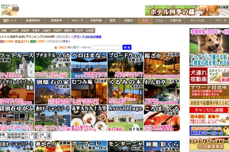 ステイ・ウィズ・ドッグス