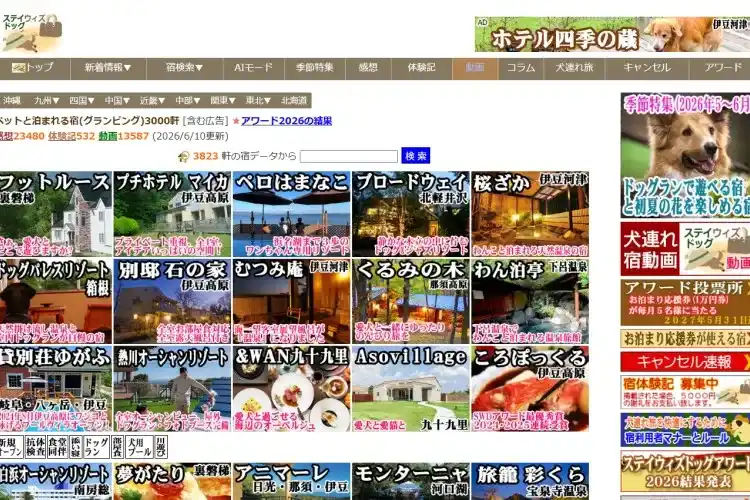 ステイ・ウィズ・ドッグス