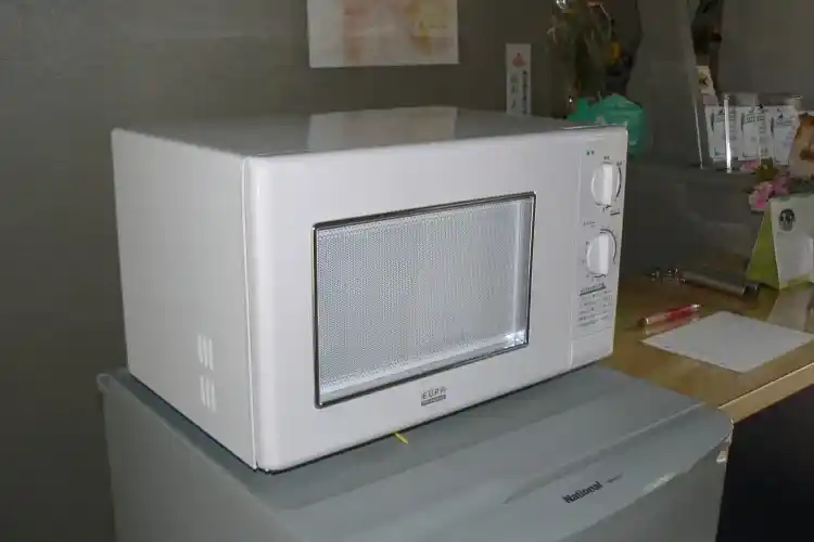 手作り食に便利、電子レンジも！